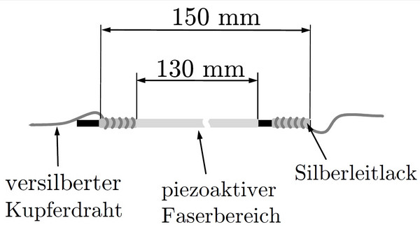 Aufbau gesamter Piezosensor