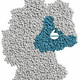 POLYKUM e.V. – Das Kunststoffnetzwerk in Mitteldeutschland